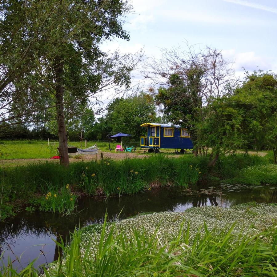 Baugé La Roulotte Du Moulin De Paletヴィラ エクステリア 写真